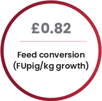 feed conversion